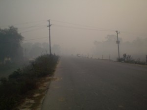 Picture of the road and the mist we came across most mornings with early starts.