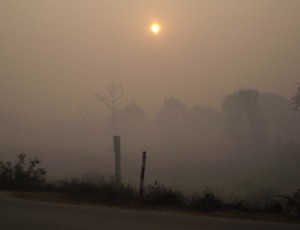 Picture of the dust and polution we often rode through.