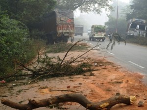 Picture of some of the daily crashes and obstacles in India.
