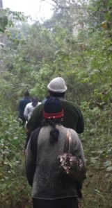 Picture of our companions tip-toeing through the jungle - notice the handbag over right shoulder!