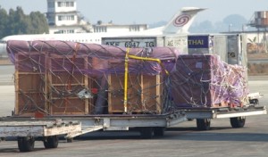 Picture of Bertha - with the yellow strap - about to board the flight to Bangkok.