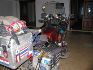 Picture of Bertha in the Hotel sitting on the highly polished wooden floor. She is covered with dust and muck.